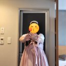 모디넥스 | [20251106] 일본 도쿄 여행기 4일 째! 여행 일기