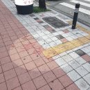인생 설곰탕 꽃삼겹 네이버블로그