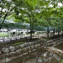 자연숲펜션 이미지