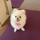 헤어체인지 이미지