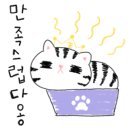 어울림 동물병원 이미지