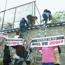 담 이미지