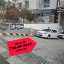 고양이 생활 호텔 이미지