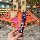 고양이 행복구역 | 건강한 고양이카페 추천 루프캣미 고양이카페 명동점 솔직 후기