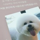 늘, 고운펫 네이버블로그