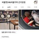버블커피&셀프빨래방 이미지