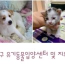 삼산종합동물병원 이미지