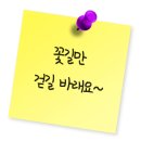 행컵 - 양주시 옥정동로5바길 21 | 행컵