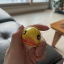 진명목장 | 그래 인생이 그런거지 such is life