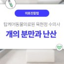 화정동물병원 이미지