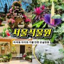 [공지] 마곡 서울식물원 온실 속의 정글 탐험: 서울 가볼만한 곳 추천 (주차 및 입장료 꿀팁)