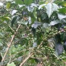 경재 농장 이미지