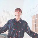 더보 이미지