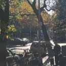 윈드힐(Wind Hill) | Clinton Hill Tribute