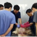 농림축산검역본부 이미지