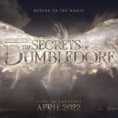 Fantastic Beasts-The Secrets of Dumbledore 이미지