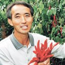 법률사무소밀알 이미지