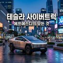 테슬라 사이버트럭 국내 판매량 급감 이유와 FSD 이용 가능 모델 및 가격 분석