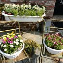 어거스트 청평 이미지