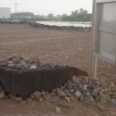 동일리 지석묘 4호 이미지