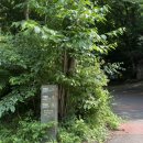 고당봉 표석비 | [부산] 범어사 근처 부산에서 제일 높은 산 금정산 고당봉 등산 후기