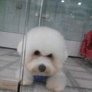 동래종합동물병원 이미지
