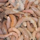 대안수산 이미지