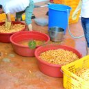 이솜한의원 이미지