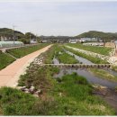 반월1교 이미지