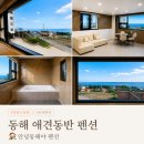 안녕동해 | [강원도 동해] 안녕동해야 펜션 | 동해 오션뷰 애견 동반 펜션 내돈내산 후기