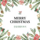 진심선물트루쓰