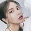 솔라 이미지