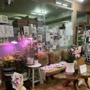 다미인피부비만관리 | 체형이랑 피부 둘 다 신경 쓰이던 날 선택한 대구남구피부관리 한국건강피부비만센터 후기 :)