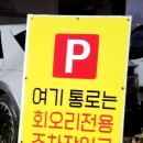 회를품은오리 이미지