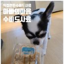 수비드연구소 이미지