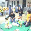 튜립유치원 이미지