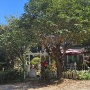 고능농장 이미지