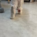 이담메디칼 이미지