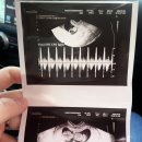 큰사랑산부인과의원 이미지