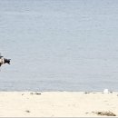 추억만들기 이미지