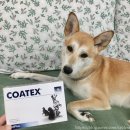 (주)포베츠 이미지