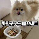 루이펫독 | 하림펫푸드 더리얼 밥꾸챌린지 밥꾸세트 닭고기 과일 후기