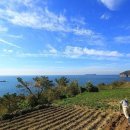 유토피아 이미지