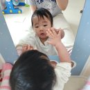 준179 | 찰떡이 육아일기 26.03.23~26.03.29 (교정일 179일~185일) 이제 기기 시작했어요.