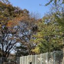 프리미엄캔넬 | 🐕‍🦺 서울 근교 양주에서 만나는 프리미엄 대형견 장기위탁 서비스