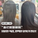 [대전미용실] 쏠르씨엘헤어에서 염색했어요! 완벽했던 머리 변신 후기