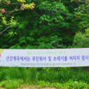 진입로 좌우측 이미지