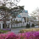 골프매니아 Daum카페