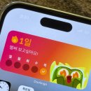 정산슈퍼 | 슈퍼 듀오링고 내돈내산 후기｜직접 써보고 느낀 점 + 가장 저렴하게 쓰는 방법