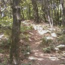 밭탕골약수터 이미지